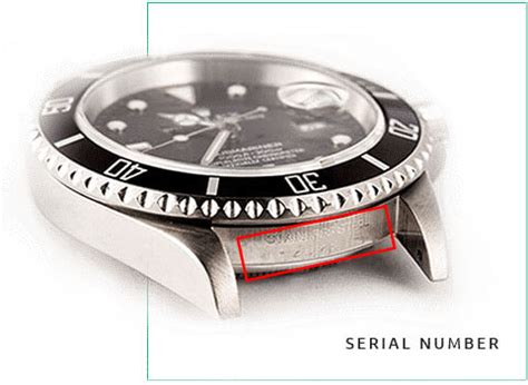 rolex scanner|rolex serial number lookup.